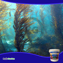 Grow More Sea Grow Flower & Bloom Water Soluble Seaweed Plant Food 4-26-26 5 lb