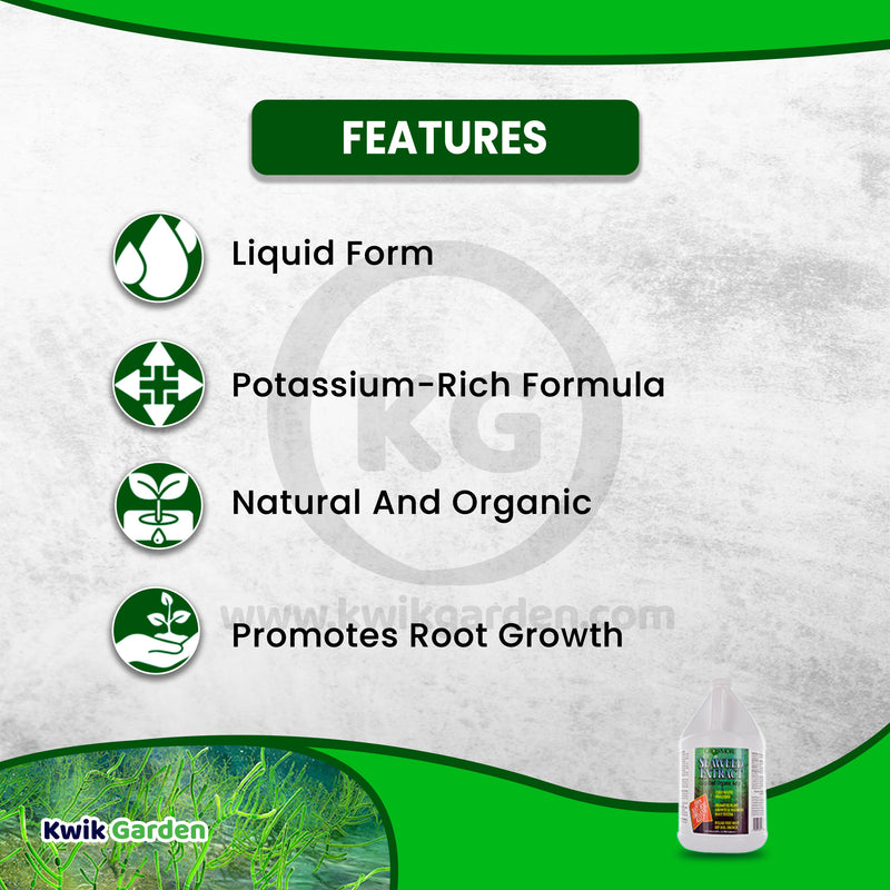 Grow More Seaweed Extract Natural Organic Kelp Liquid 0.10-0.10-0.15 1gal