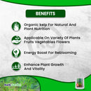 Grow More Seaweed Extract Natural Organic Kelp Liquid 0.10-0.10-0.15 1gal