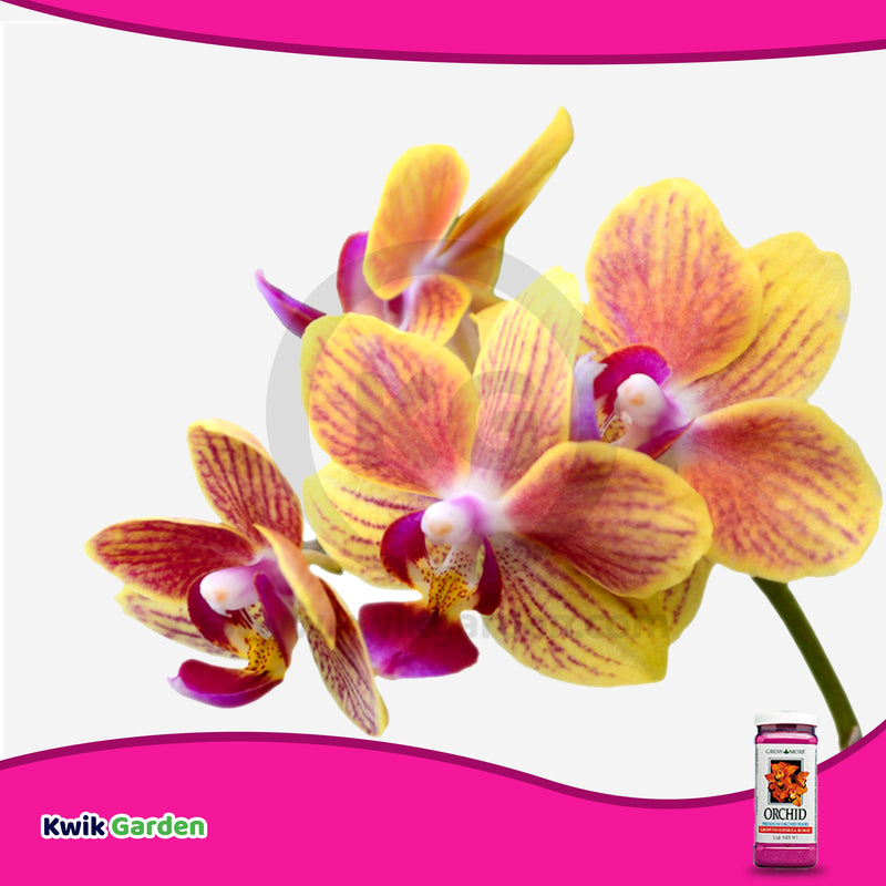 Grow More Orchid Food Growth Formula Fertilizer 30-10-10 15oz