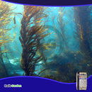 Grow More Sea Grow Flower & Bloom Water Soluble Seaweed Plant Food 4-26-26, 25 Lb