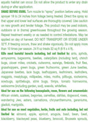 Garden Safe Houseplant & Garden Ins Killer Ready-to-Use 24oz