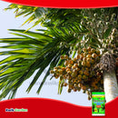 Grow More Palm Food Soluble Fertilizer 15-5-15 1.5lb