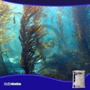 Grow More Soil Acidifier Water Soluble Plant Food Fertilizer 30-10-10, 25 Lb