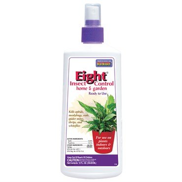 Bonide Eight Houseplant Insect Spray - 12oz - Ready-to-Use - Pump Sprayer