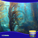 Grow More Sea Grow Flower & Bloom Water Soluble Seaweed Plant Food 4-26-26, 1.5 Lb
