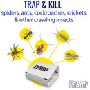 TERRO Insect Trap 4 pk