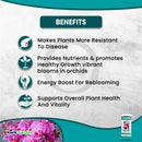 Grow More Orchid Food Urea Free Fertilizer 20-10-20 1.25lb