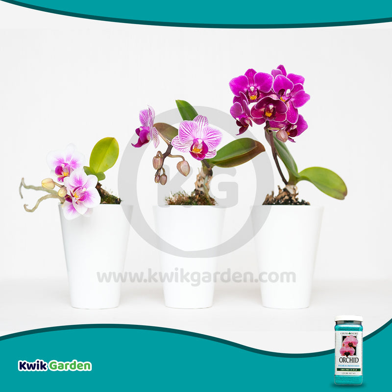 Grow More Orchid Food Urea Free Fertilizer 20-10-20 1.25lb