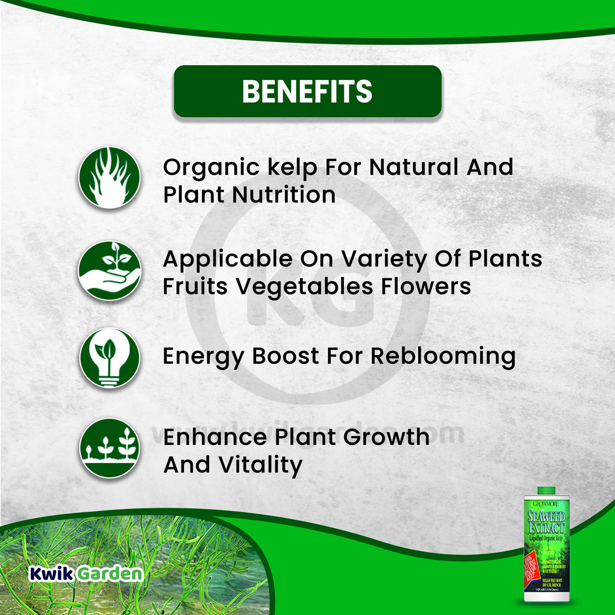 seaweed fertilizer nutrients Grow More Seaweed Extract 0.10-0.10-0.15 16oz