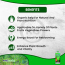 Grow More Seaweed Extract Natural Organic Kelp Liquid 0.10-0.10-0.15 16oz