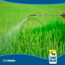 Grow More EZ Wet Soil Penetrant 26 Organic Ready To Spray 32oz