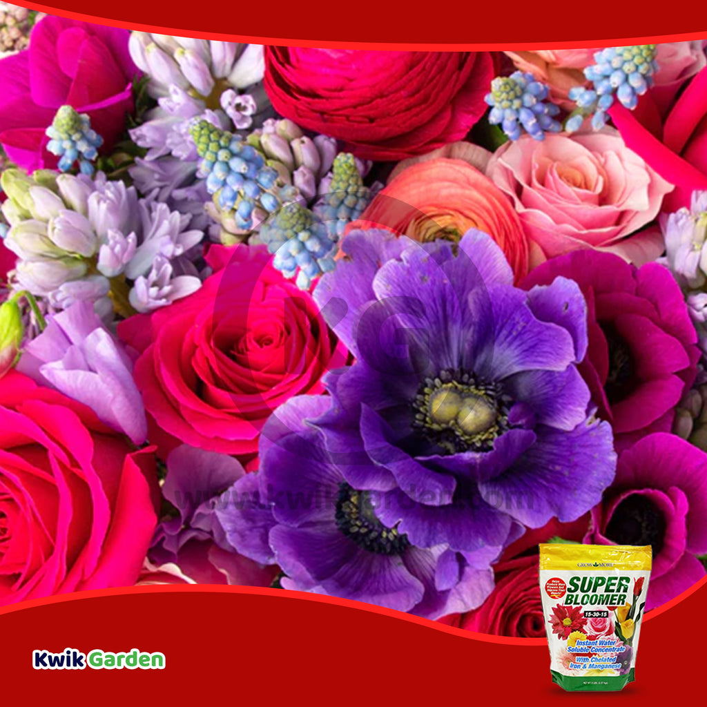 plant prod flowering 15 30 15 fertilizer Grow More Super Bloomer Water Soluble Fertilizer Concentrate 15-30-15 5Lb Bag