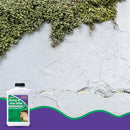 Bonide Stump-Out Stump & Vine Killer Concentrate 8oz