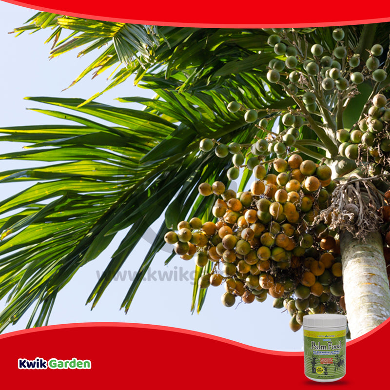 Grow More Palm Food Soluble Fertilizer 15-5-15 3lb