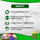 Grow More Organic Iron Chelate 10% 24oz