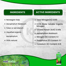 Grow More Seaweed Extract Natural Organic Kelp Liquid 0.10-0.10-0.15 16oz