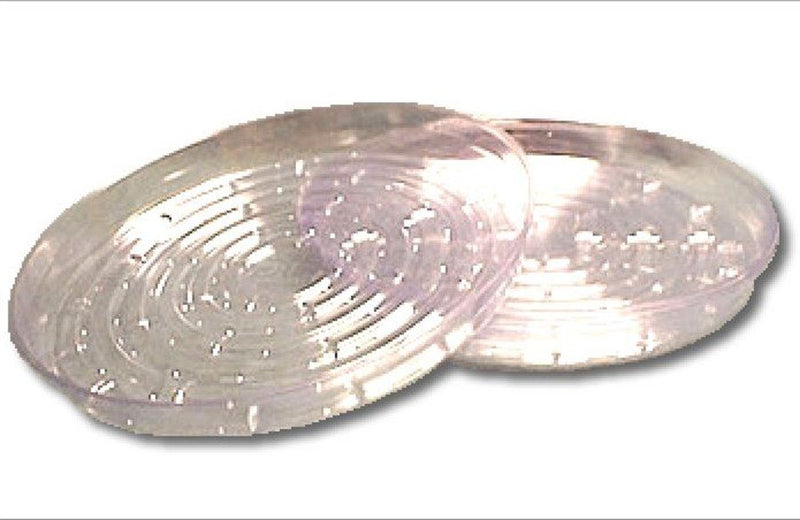 clear plastic plant saucer 10" Clear Vinyl Plant Saucer