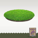 Down To Earth Fish Bone Meal 5 lb